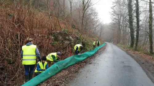Retour du crapaudrôme à Tournavaux.